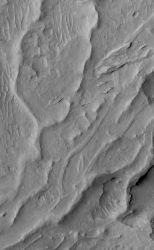 This looks like branching stream valleys, but the light comes from the left and these are ridges, an example of inverted channels. (NASA/JPL-Caltech/Malin Space Science Systems)